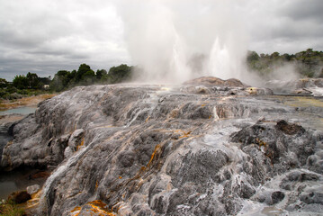 geothermal area of Whakarewarewa - Te Puia in Rotorua