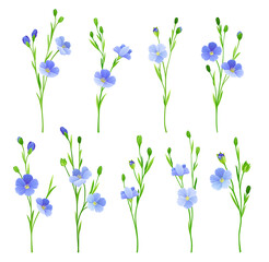 Fototapeta na wymiar Flax or Linseed as Cultivated Flowering Plant Specie with Pale Blue Flowers on Stem Vector Set