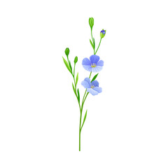 Flax or Linseed as Cultivated Flowering Plant Specie with Blue Flowers on Stem Vector Illustration