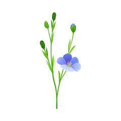 Flax or Linseed as Cultivated Flowering Plant Specie with Blue Flowers on Stem Vector Illustration