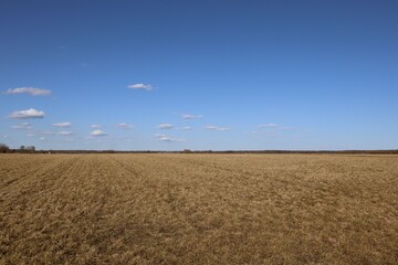 Fototapeta na wymiar farm, field, sky, spring, clouds
