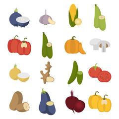 Vegetables icon set. Fresh vegetables collection isolated objects inside.