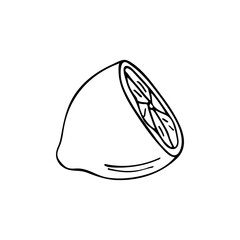 Doodle cut lemon illustration in vector. Hand drawn lemon illustration in vector. Cut lemon hand drawn illustration. Doodle lemon icon in vector