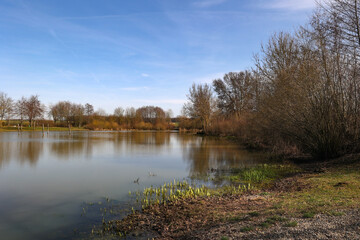 Quiet lake on a clear sunny day