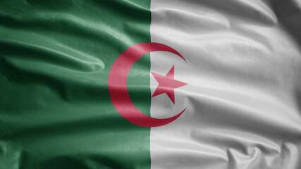 Algerian flag waving in the wind. Close up of Argelia banner blowing, soft silk.