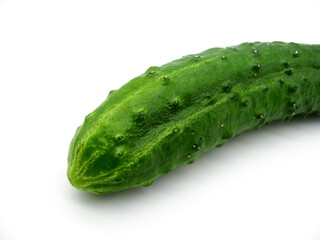 One fresh green cucumber on a white background.
