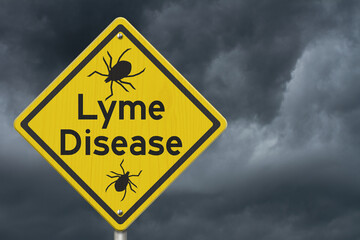 Lyme Disease warning on a on yellow highway caution road sign