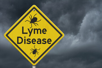 Lyme Disease warning on a on yellow highway caution road sign © Karen Roach