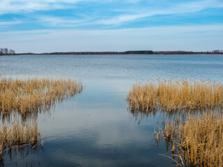 A view of the Krzczeń lake coming to life after winter.