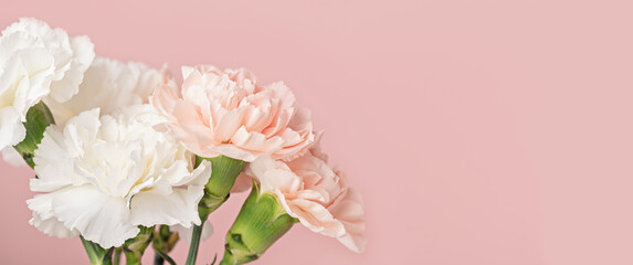 Spring flower bouquet of carnations over pink background. Bridal bouquet, online blog header