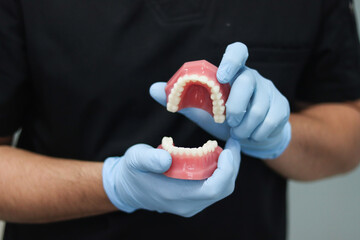 hands holding dental mold