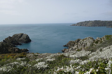 Fototapeta na wymiar Rocky headland on coast of Guernsey