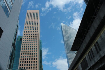 Fototapeta premium 春