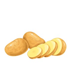 Potatoes vector illustration. Raw potato whole root crops and sliced pieces.