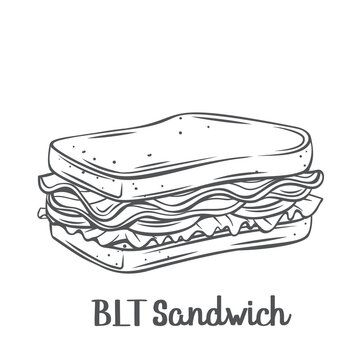 BLT sandwich with bacon, lettuce and tomato drawn outline vector illustration.