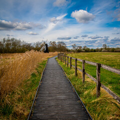 Fototapeta premium wooden path in the countryside