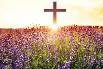 The cross of God in the rays of the sun. 