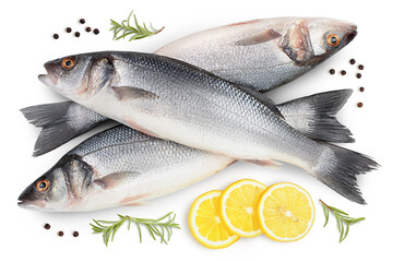 Sea bass fich isolated on white background with clipping path. Top view. Flat lay