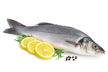 Sea bass fich isolated on white background with clipping path and full depth of field.
