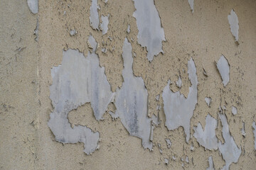 Sch&auml;den an Hauswand durch Feuchtigkeit