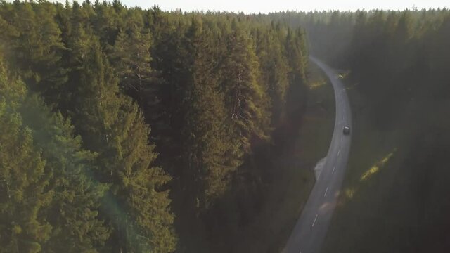 Car driving through a forest street in bavaria, topdown follower drone