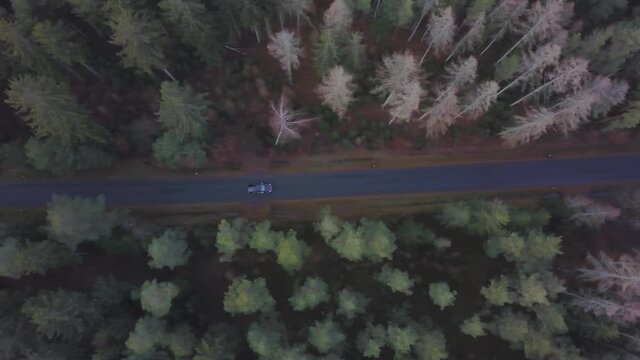Car driving through a forest street in bavaria, topdown follower drone