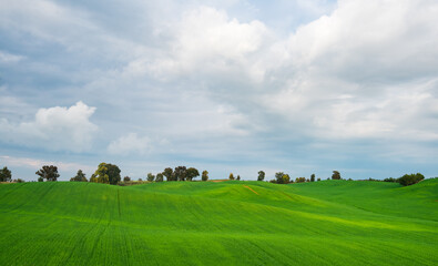 Naklejka premium Green field on a cloudy day