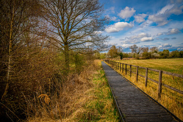 wooden bridge in the forest around lake