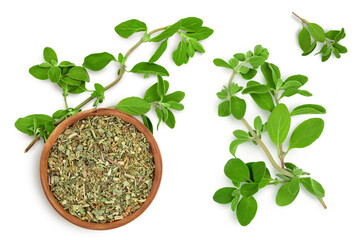 Oregano or marjoram leaves fresh and dry isolated on white background with clipping path. Top view...