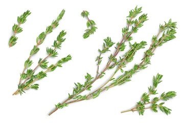 fresh thyme isolated on a white background with clipping path and full depth of field, Top view. Flat lay