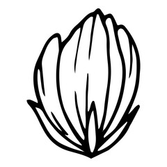 Cutted poppy icon, hand drawn and outline style