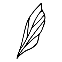 Forest leaf icon, hand drawn and outline style
