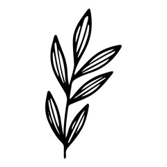 Eco leaf branch icon, hand drawn and outline style