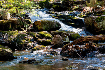 Fototapeta na wymiar A small waterfall flows through the early-spring forest in Hardy Lake Provincial Park near Gravenhurst in Muskoka, Ontario on a beautiful sunny day.