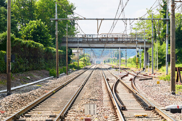 Fototapeta premium Railway station in green natural landscape. Industrial scene with railroad. Railway junction, platform. Transportation concept