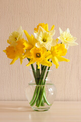 Bouquet of delicate yellow daffodils in a glass vase on a table close up. Minimalistic home decor. Festive floral background
