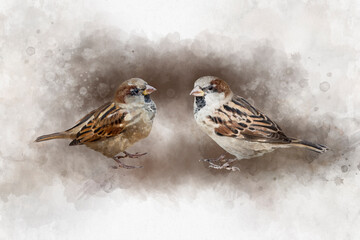 Two sparrows Watercolor Digital Painting, vintage effect. Bird illustration.