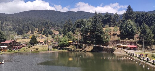 Fototapeta premium view from the lake