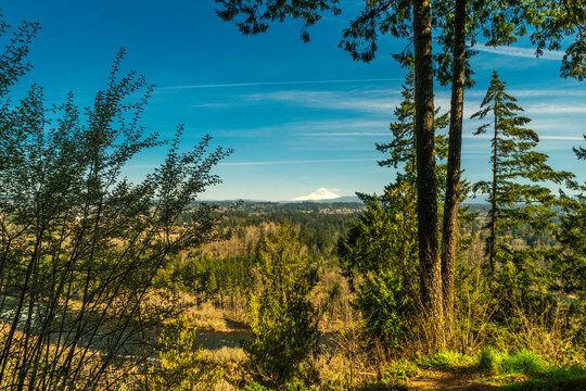 รูปภาพClackamas เลือกดูภาพถ่ายสต็อก เวกเตอร์ และวิดีโอ545 Adobe Stock