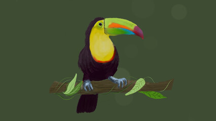 freehand drawing illustration of toucan bird on tree on green background