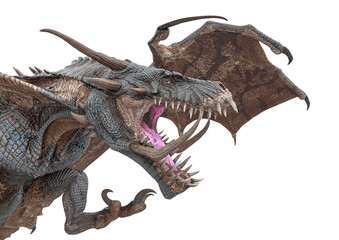 master dragon in white background close up © DM7