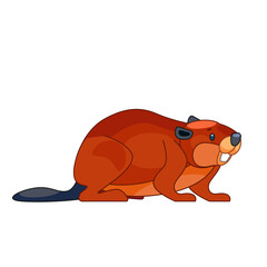 Cute cartoon beaver in flat style vector illustration isolated on white background