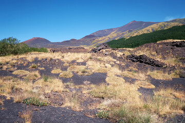 Mount Etna in Sicily near Catania, Tallest active Europe volcano in Italy. Dry yellow grass.