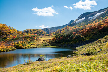 Outono em Hokkaido.	