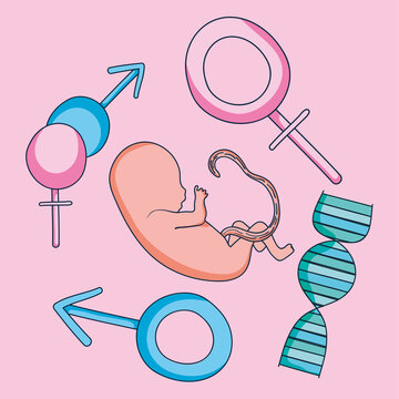 gender symbols set