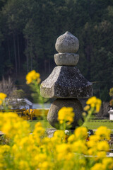 飛鳥寺