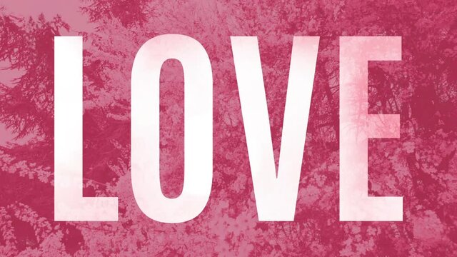 Clear translucent word Love over a pink background with animated filigree of blooming bushes. Fresh animation looped seamless, for e-card, celebration, titling&hellip;