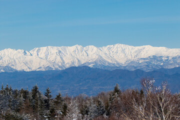 snow covered mountains