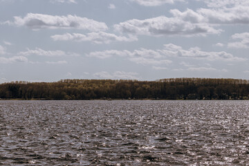 Naklejka premium Lake and forest landscape