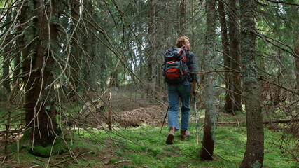 Male hiker walking between trees in forest. Man with backpack hiking in woods